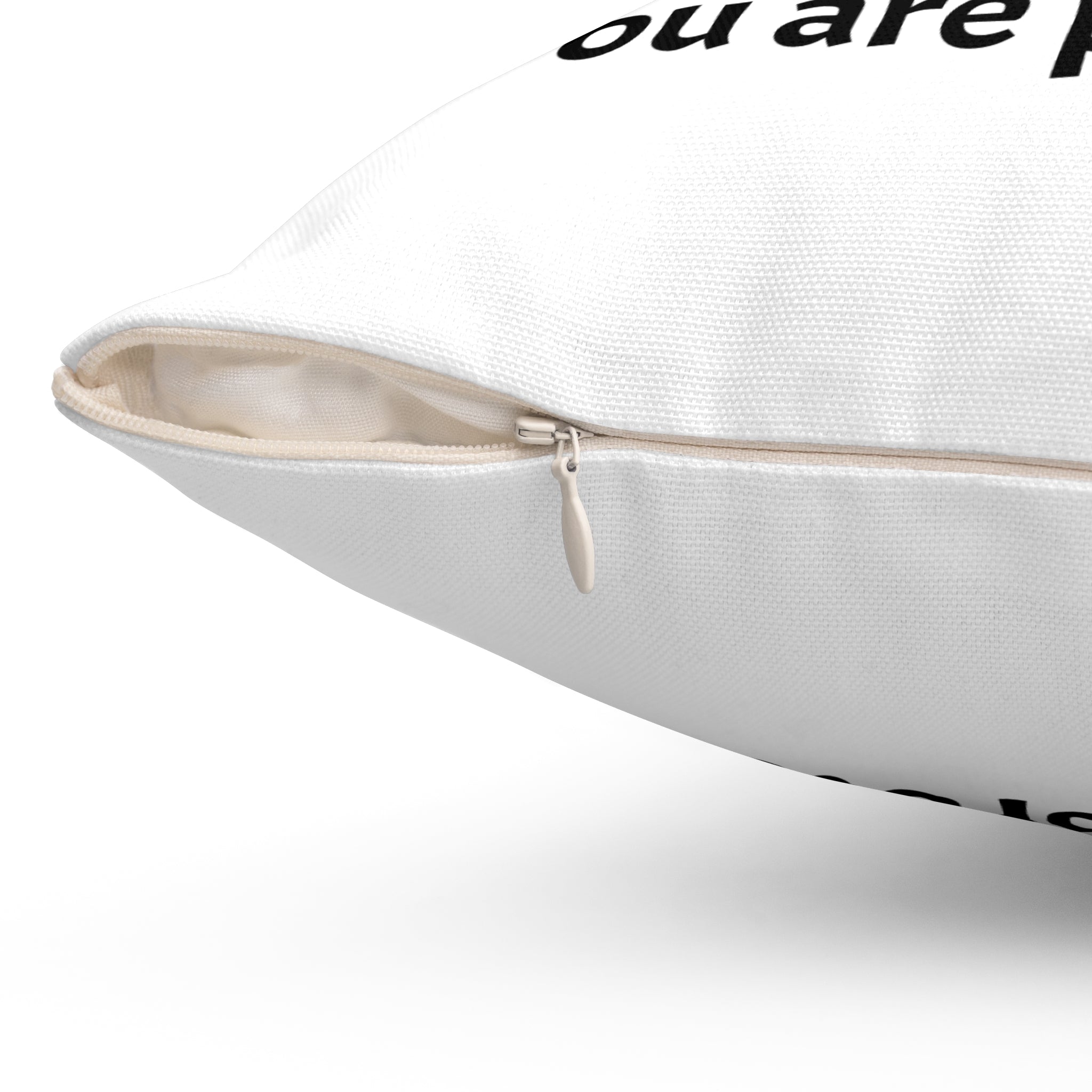 Lion Calm Corner Pillow — "You Are Protected"